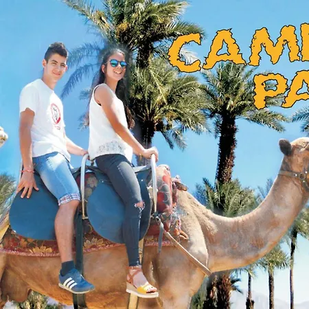 Midia Family شقة *